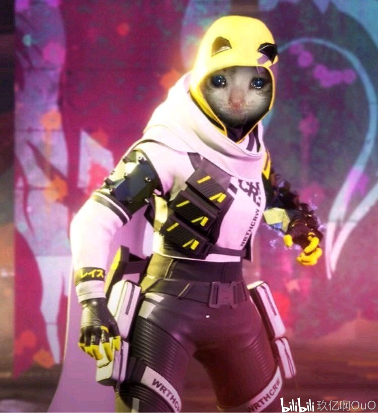 NIP官方：下路选手 Photic 正式离队